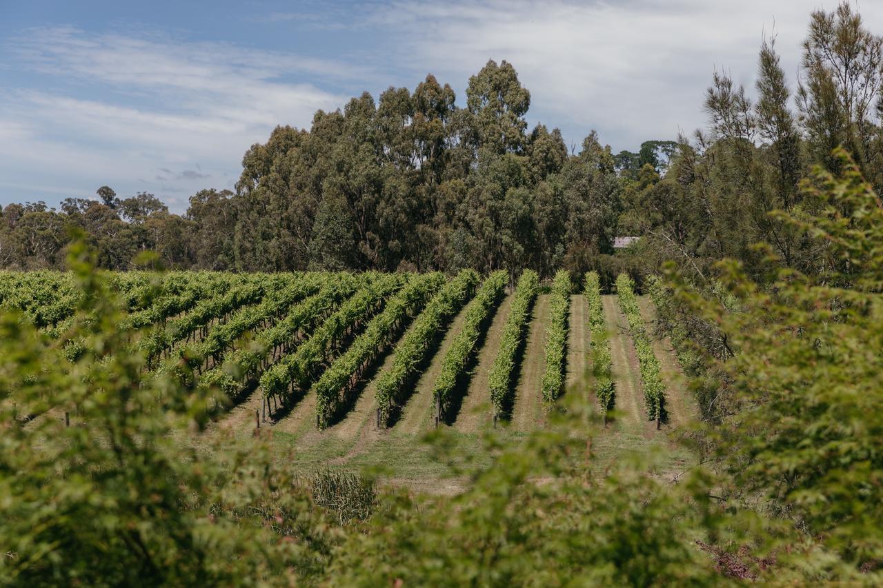Seville Estate المظهر الخارجي الصورة